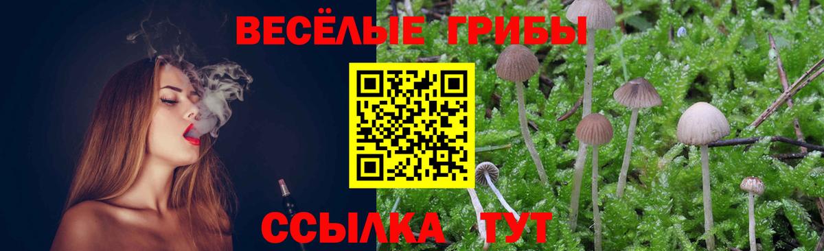 Галлюциногенные грибы Psilocybe  Вход с VPN  Кохма  Галлюциногенные грибы Cubensis 