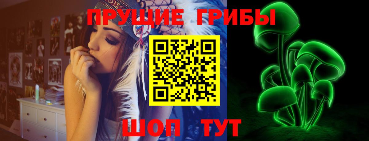 Псилоцибиновые грибы Psilocybe Кохма